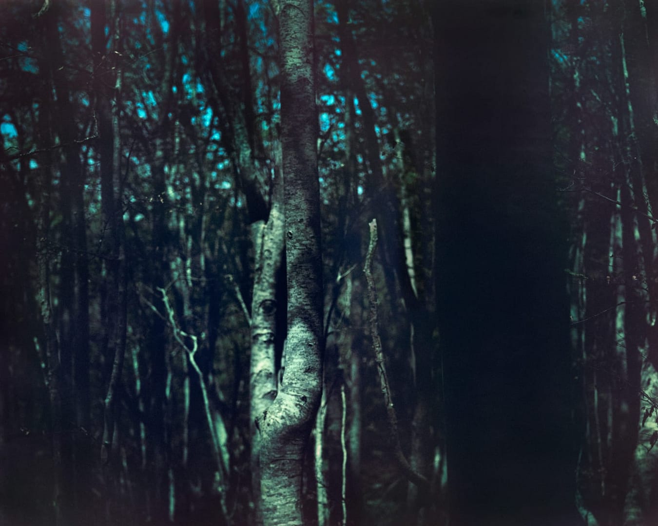 landscapes talks