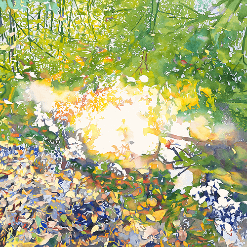 Photo de Jardin du blanc passage par Jean-Paul Agosti